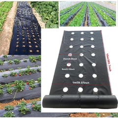 VEGMESH™ - ÜLTETŐFÓLIA (1x10m)