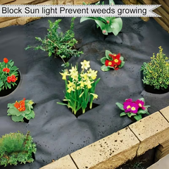 VEGMESH™ - ÜLTETŐFÓLIA (1x10m)