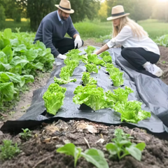 VEGMESH™ - ÜLTETŐFÓLIA (1x10m)