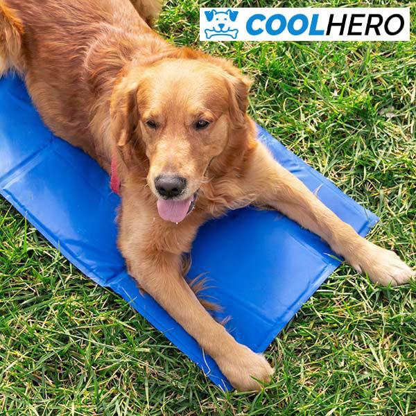 COOLHERO™ HŰTŐMATRAC A KUTYÁKNAK