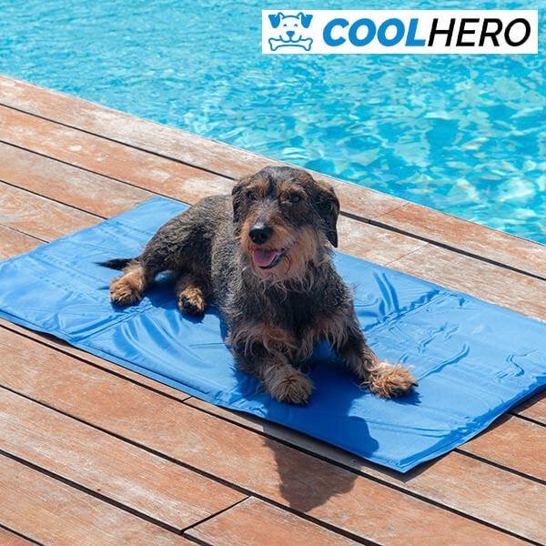 COOLHERO™ HŰTŐMATRAC A KUTYÁKNAK
